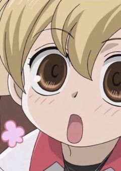 ハニー先輩の許嫁はホスト部のサボり魔