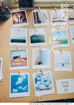 ç¶»ã³ã®ãããŒã