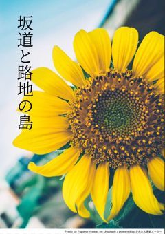 坂道と路地の島