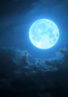 霞の中に咲く花