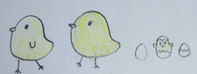 暇人🐥さんの壁紙画像