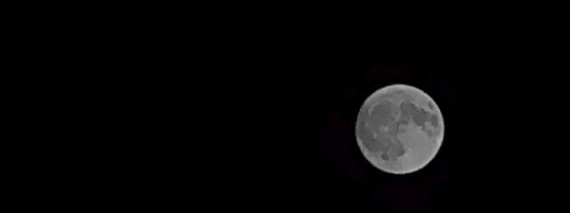 るんばるんばさんの壁紙画像