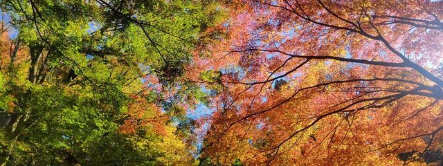 ななさんの壁紙画像