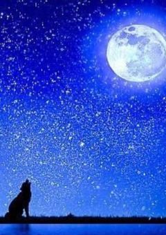 星宮あかり様 ファンクラブ！