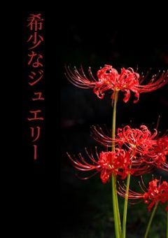 希少なジュエリー