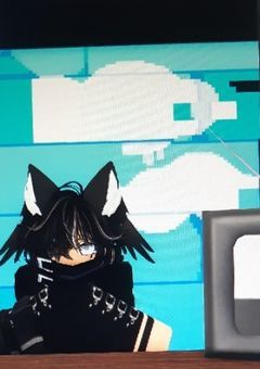 ボクが参加型に入るとき設定