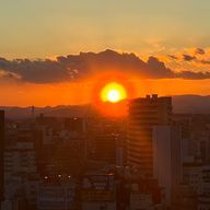 ただの食パン好きさんのアイコン画像