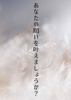 あなたの願いを叶ましょうか？