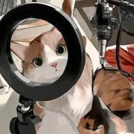 Mikasaさんのアイコン画像