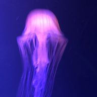 未🥫さんのアイコン画像