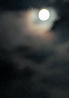 自己紹介とか色々