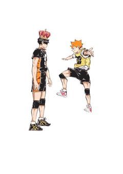 影山の双子の妹、みんなの溺愛対象でした。