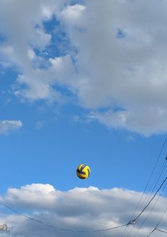 影山の双子の妹、みんなの溺愛対象でした。