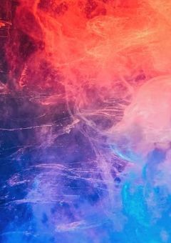 魔法使いと呪術師。