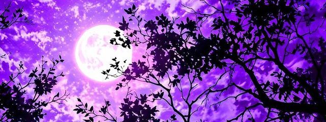 紫月りお🌙🔮💜‪さんの壁紙画像