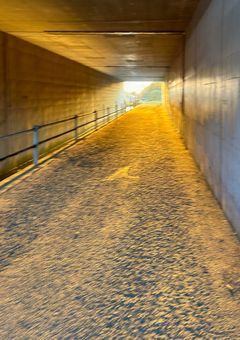 命の恩師は誰。