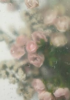き み は お し ゃ ん て ぃ ー ☪︎ ִ ֶ֢࣪⋆