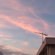 はんちゅさんのアイコン画像