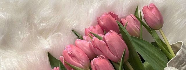 煌月⟡.·さんの壁紙画像