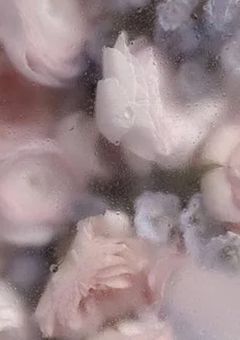 まだ触れられない君の温度。