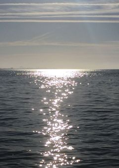 恋を知らないふたりが、海を見ていた