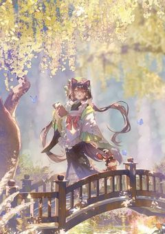 ✦゛　引退宣言　!!