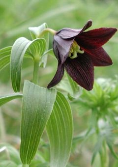 ちょーっと精神がやばい時書く場所