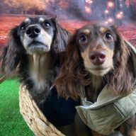 来夏さんのアイコン画像