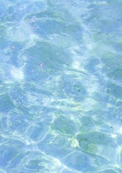TSったらヒロイン枠になりそうです。