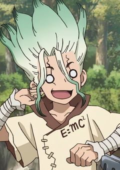 殺し屋と石の世界の物語