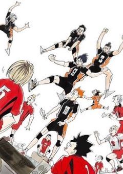 音駒の完璧少女