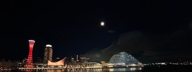 ピロさんの壁紙画像