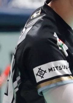 ＃火の鳥のエースちゃんの恋物語