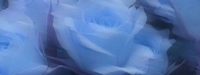 @ シノカ さんの壁紙画像