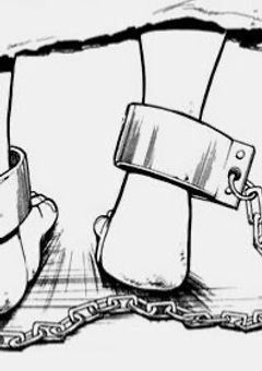 　tg / 月明かりの小夜曲
