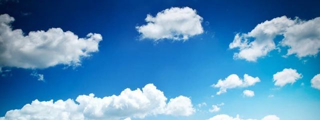 ピーちゃんさんの壁紙画像