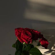 るうさんのアイコン画像