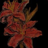 mzkさんのアイコン画像