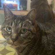 もぐもぐさんのアイコン画像