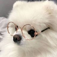 あずささんのアイコン画像