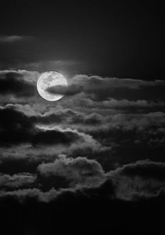 禁じられた恋の始まり