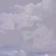 o_or;🐺さんのアイコン画像