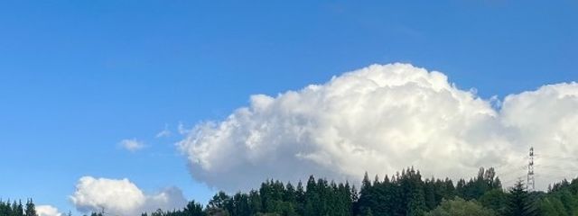 Tawashi__さんの壁紙画像