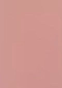 　kne  ‖ 生徒会長 vs 生徒会長