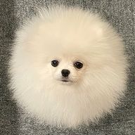 417さんのアイコン画像