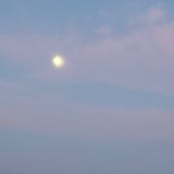 민민さんのアイコン画像