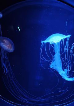 君に溺れて＿