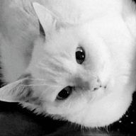 　ちなつ　さんのアイコン画像