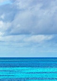 こ　っ　ち　向　け　　!!