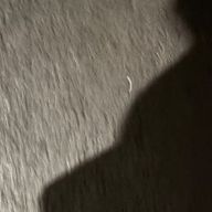 かなさんのアイコン画像